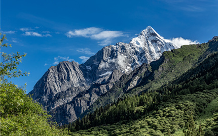建設工程項目管理軟件 建設工程項目管理軟件